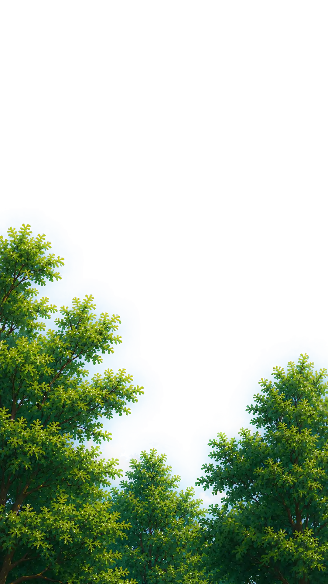 Trees Foreground