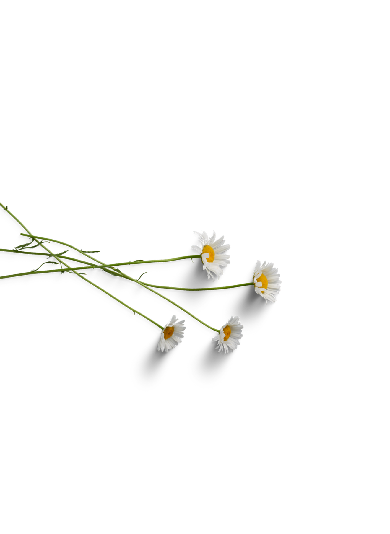 floral decoration top